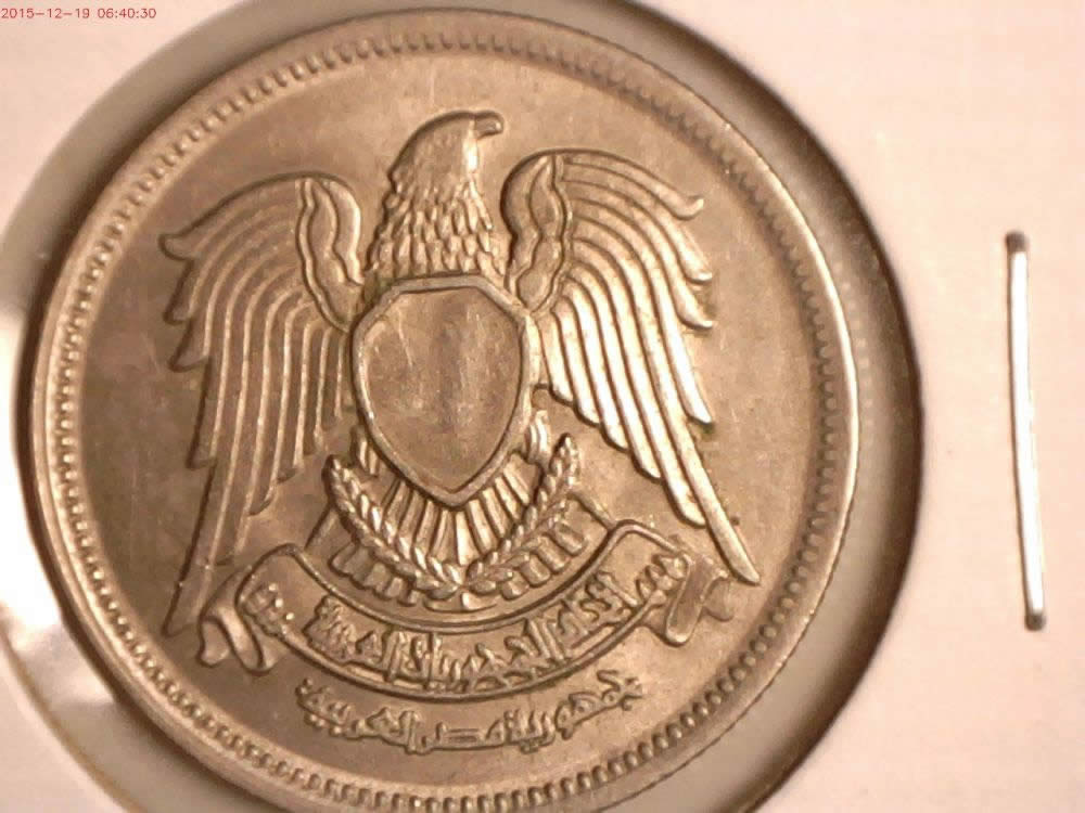 Help-Identifying-Please