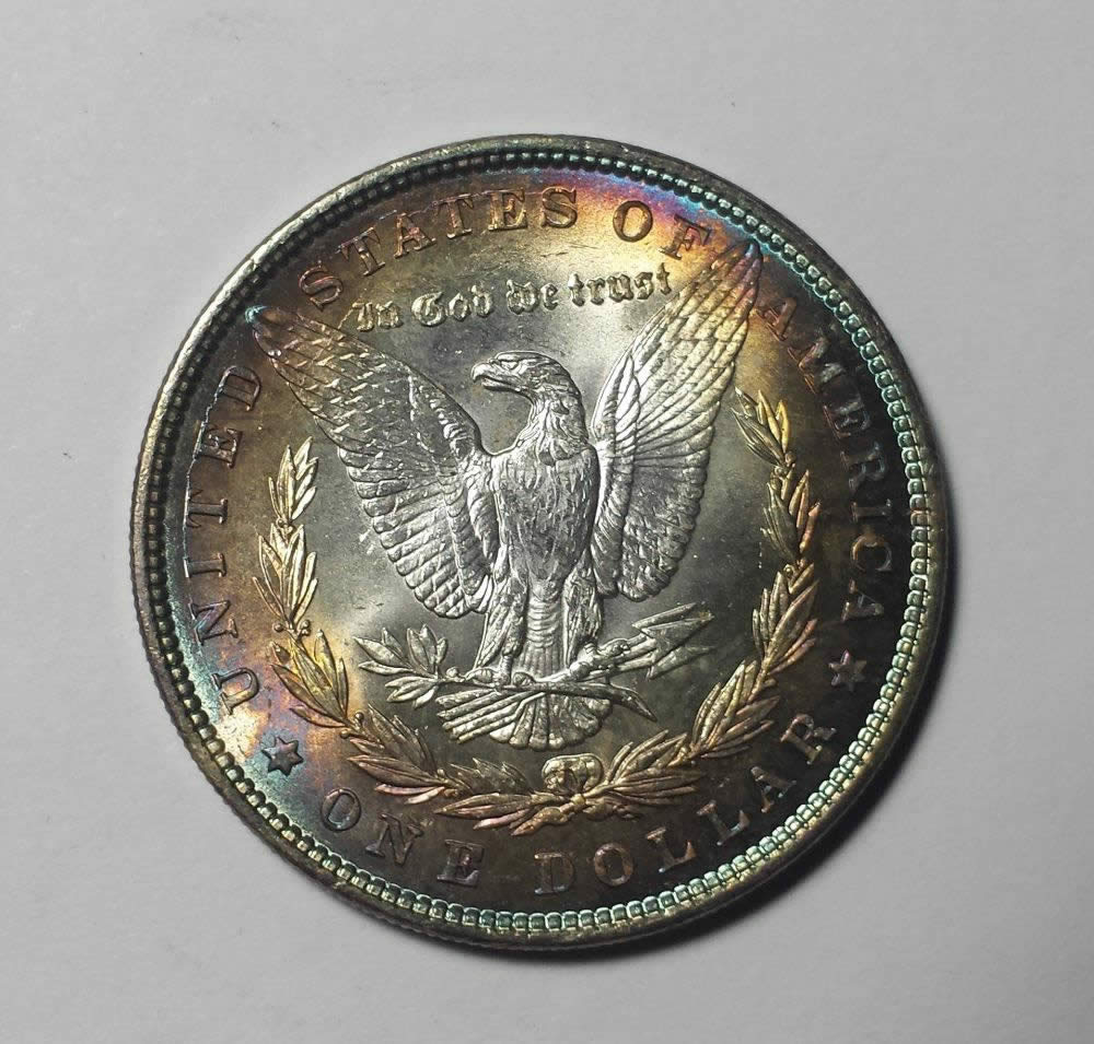 1887-Morgan-Help-Grading-It