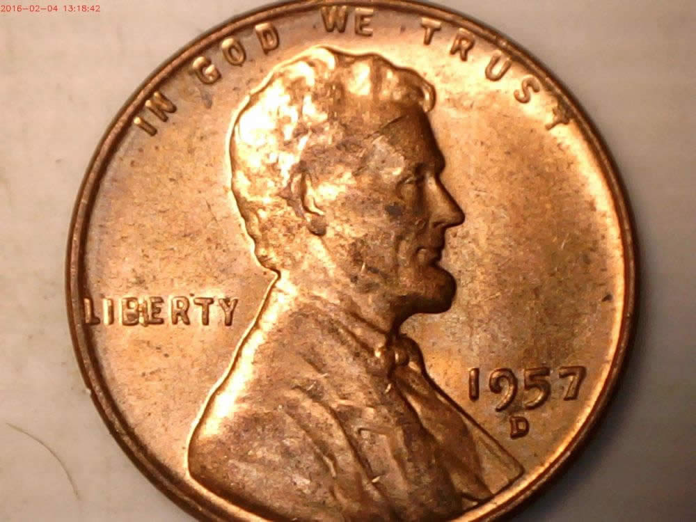 12-BIE-And-1-IIbie-Found-In-The-Last-Two-Weeks
