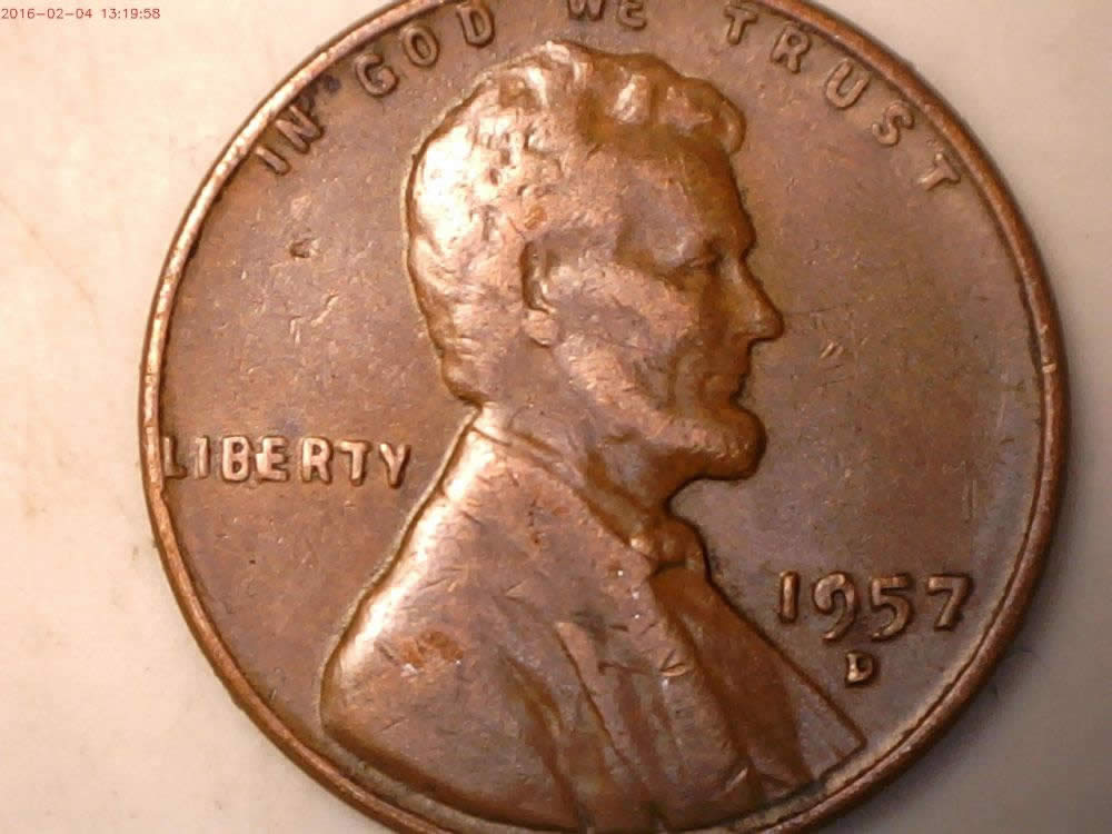 12-BIE-And-1-IIbie-Found-In-The-Last-Two-Weeks