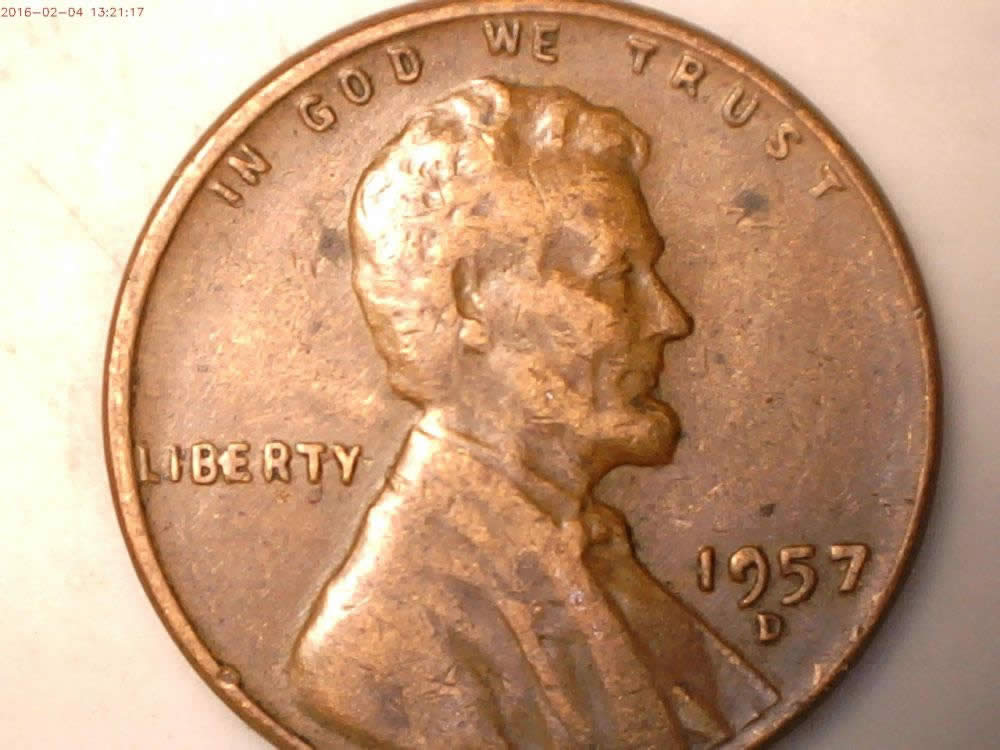 12-BIE-And-1-IIbie-Found-In-The-Last-Two-Weeks