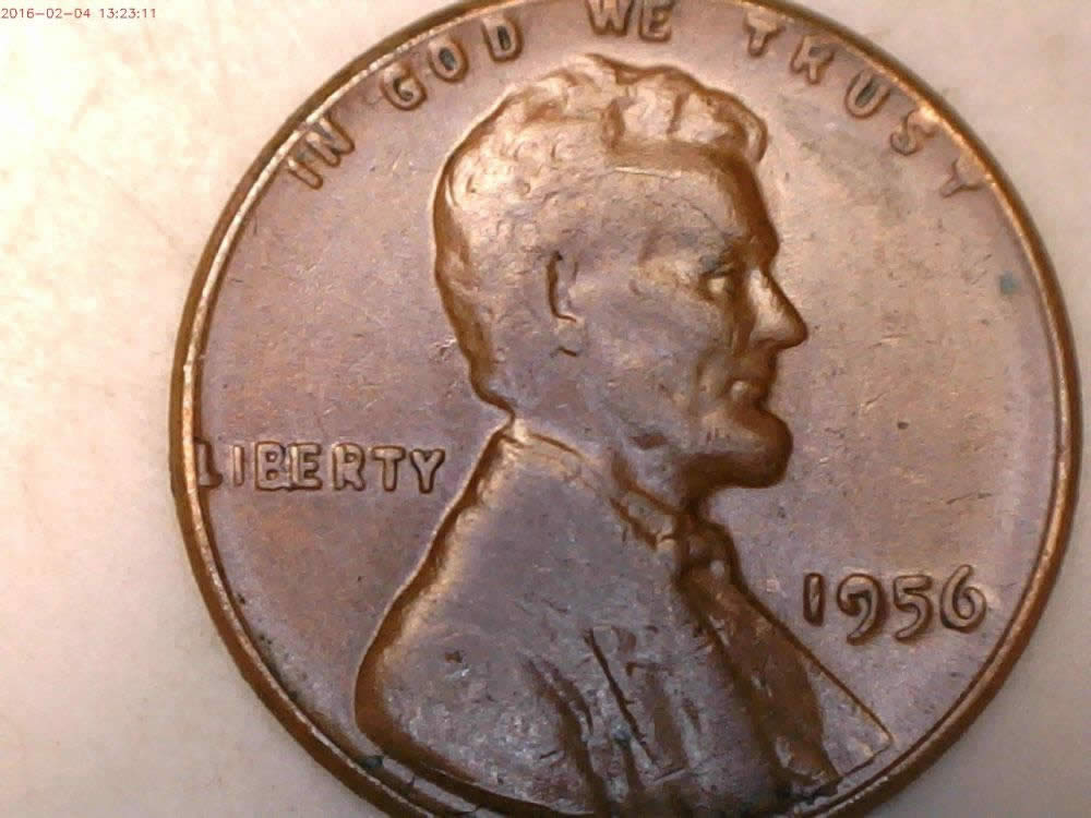 12-BIE-And-1-IIbie-Found-In-The-Last-Two-Weeks