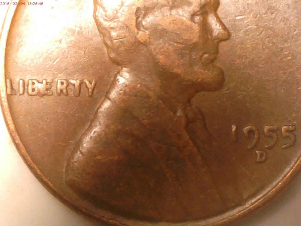 12-BIE-And-1-IIbie-Found-In-The-Last-Two-Weeks