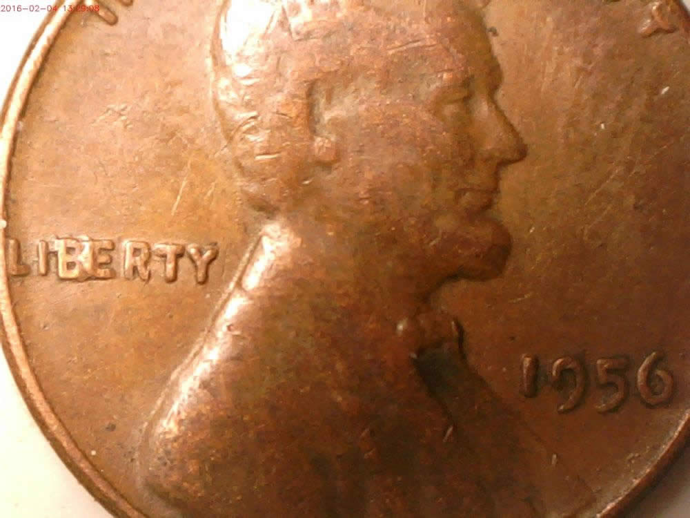12-BIE-And-1-IIbie-Found-In-The-Last-Two-Weeks