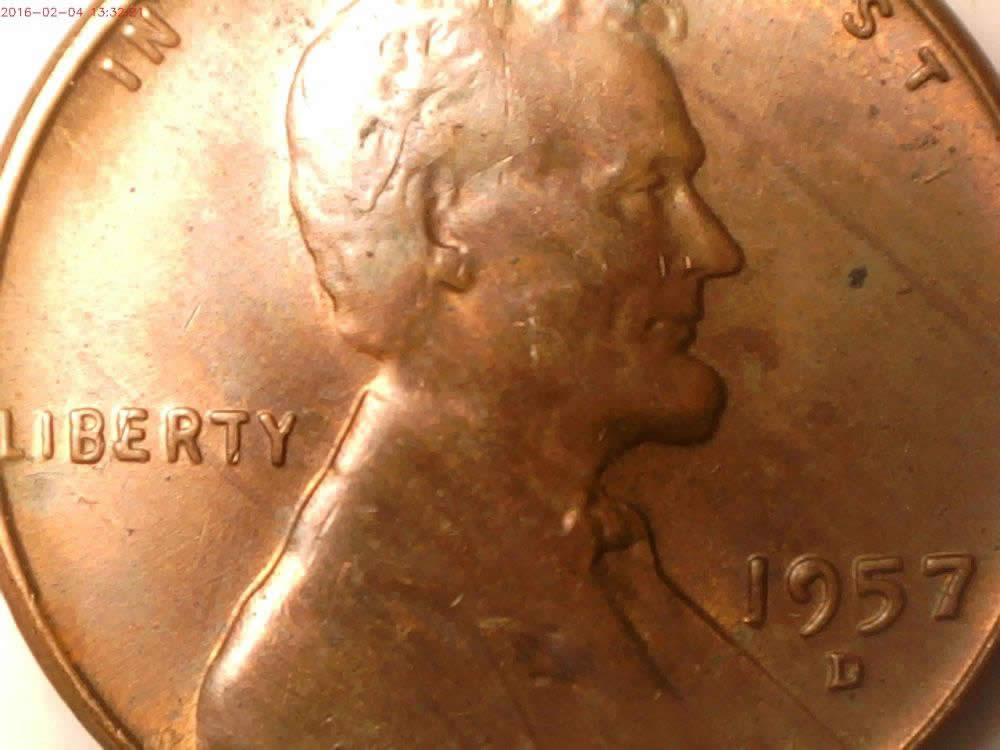 12-BIE-And-1-IIbie-Found-In-The-Last-Two-Weeks