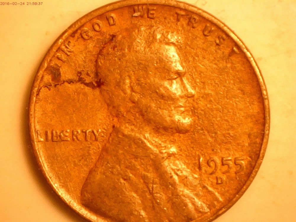 1957-D-And-1955-D--Bies