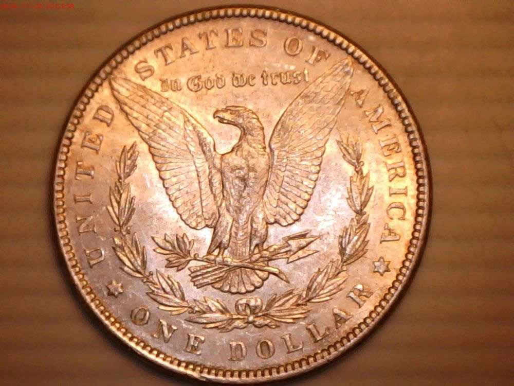 1896-Morgan-Need-Help-Grading-It
