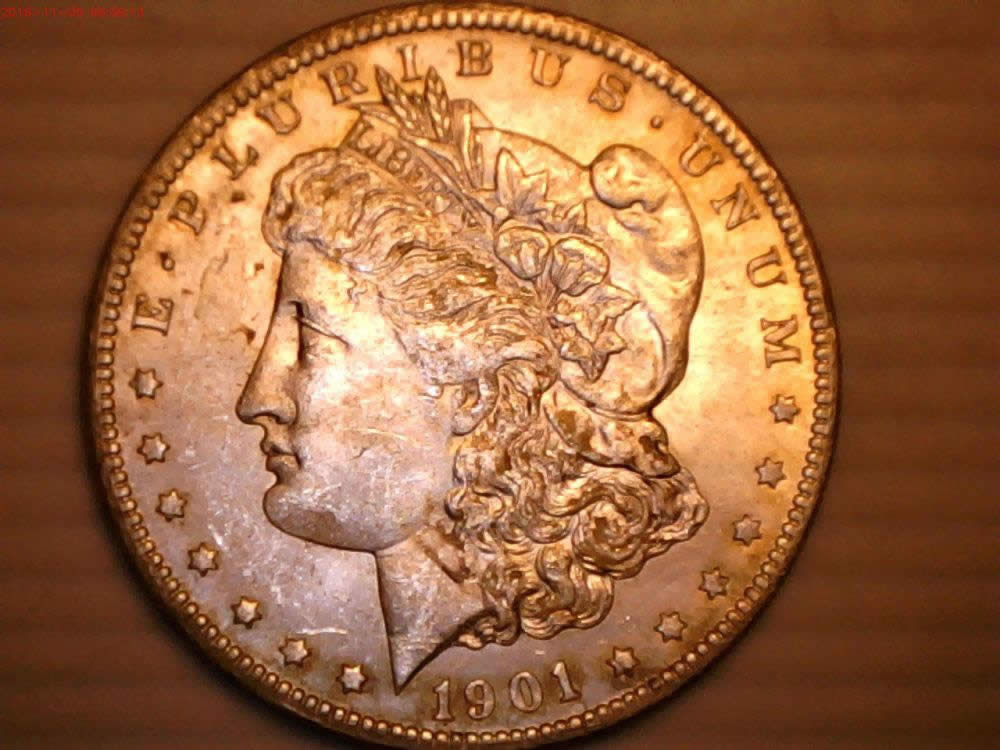 1901-O-Morgan-Need-Help-Grading-It