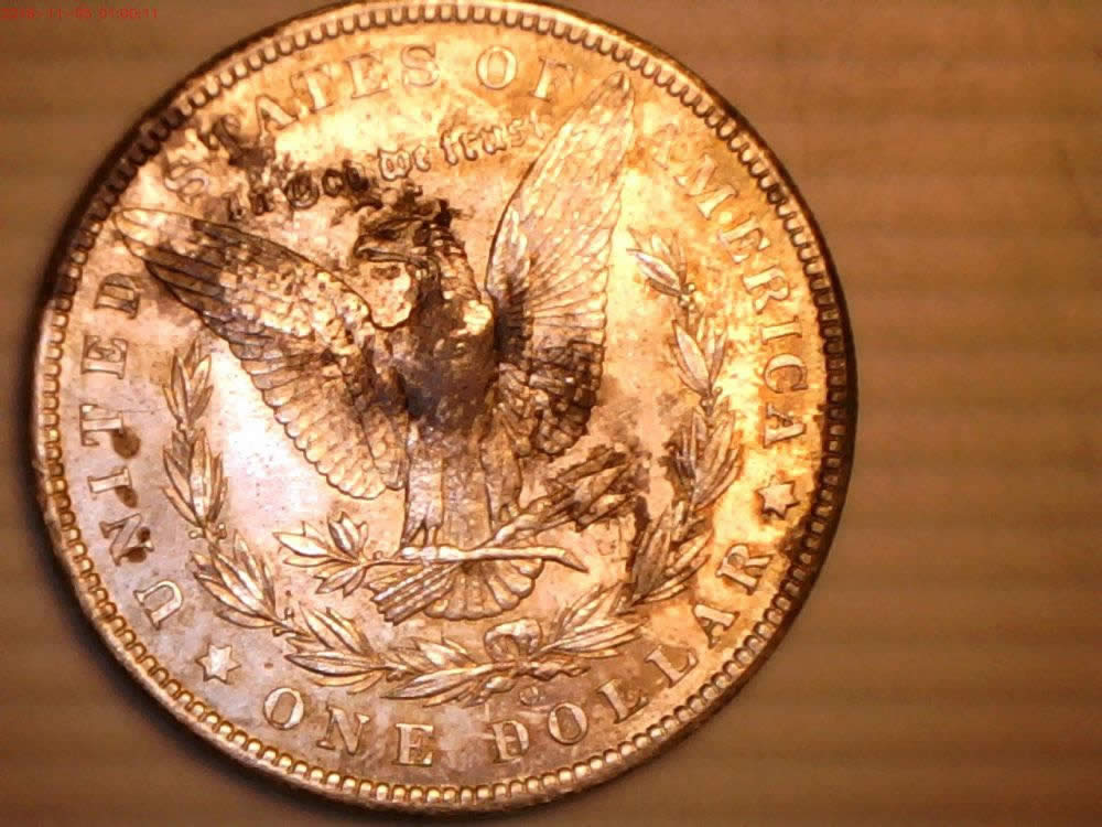 1901-O-Morgan-Need-Help-Grading-It
