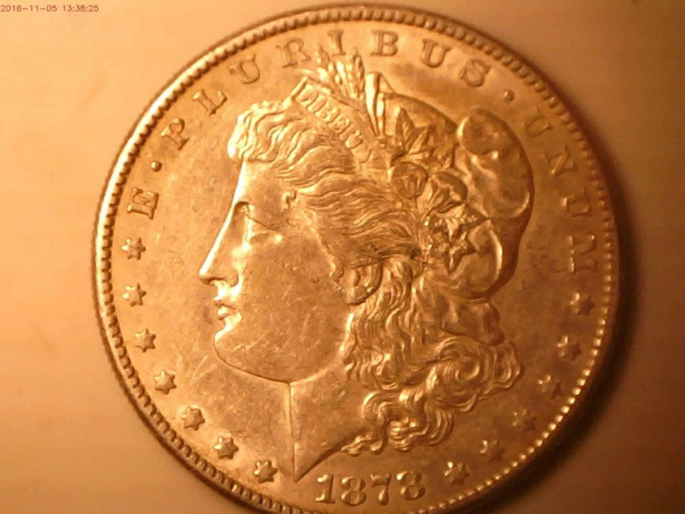 1878-S-Morgan-Which-VAM?