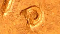 1952-D-Lincoln-RPM-1MM-30?