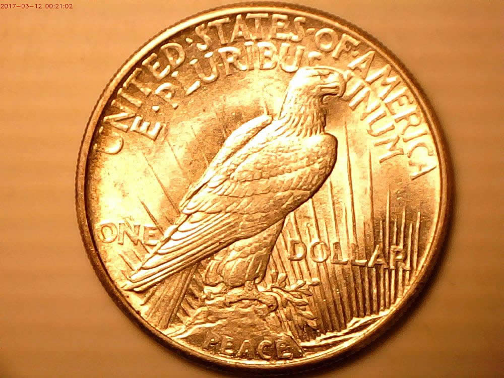 1921-Peace-Dollar-Help-With-Grade-Please
