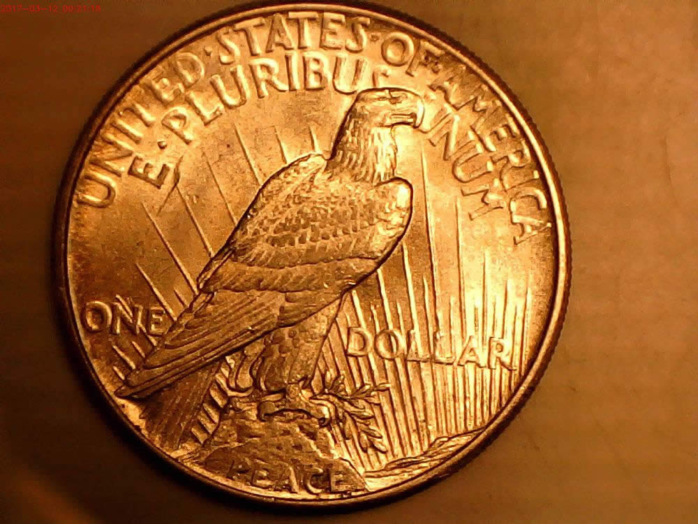 1921-Peace-Dollar-Help-With-Grade-Please