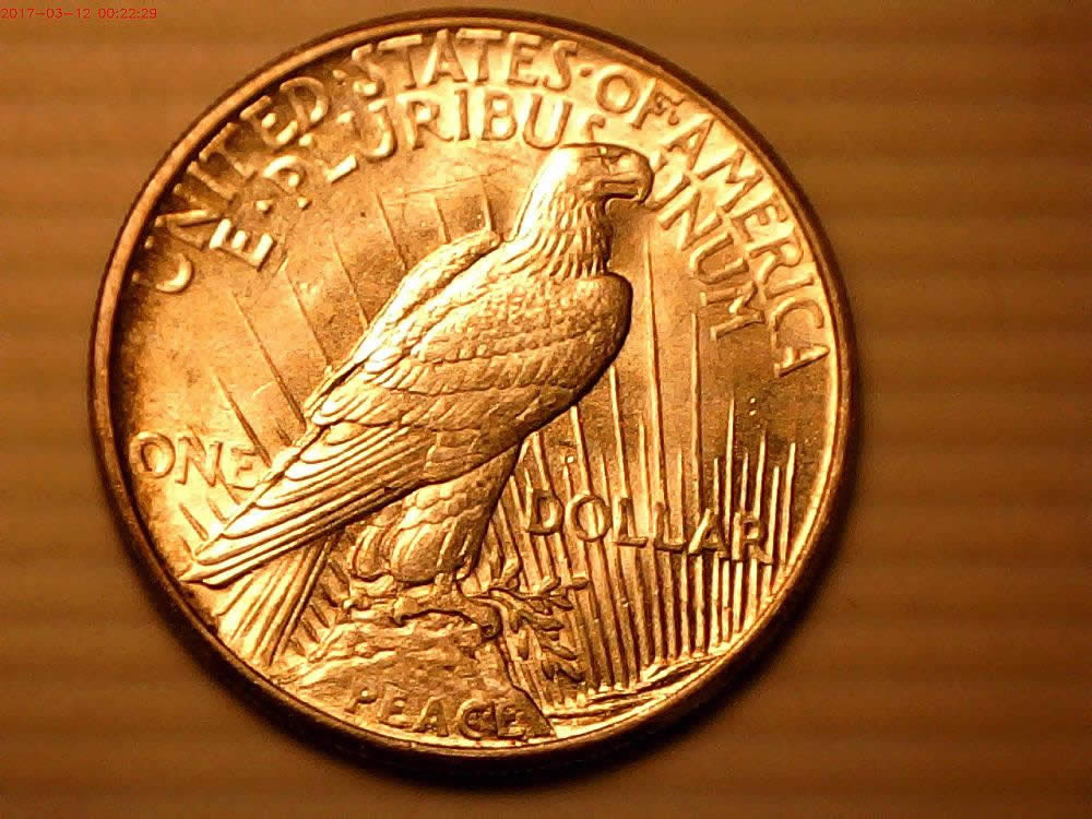 1921-Peace-Dollar-Help-With-Grade-Please