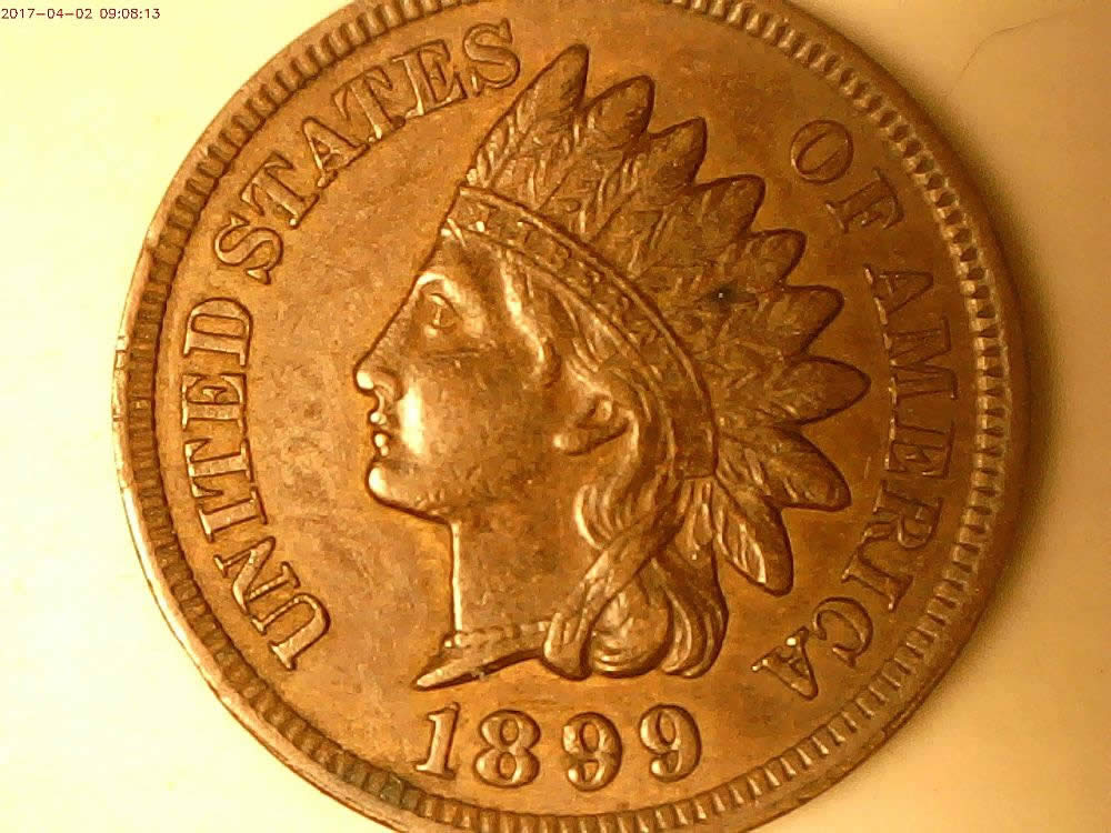 1899-Indian-Cent-MD-Or-Over-Date?