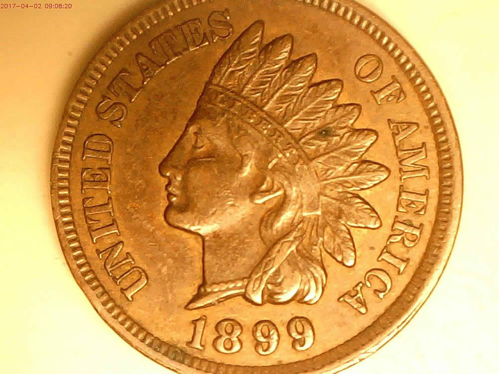 1899-Indian-Cent-MD-Or-Over-Date?