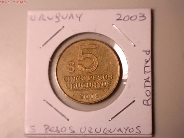 Latest-Additions-To-My-Error-Foreign-Collection