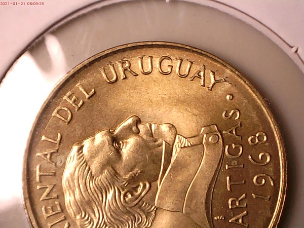 Latest-Additions-To-My-Error-Foreign-Collection