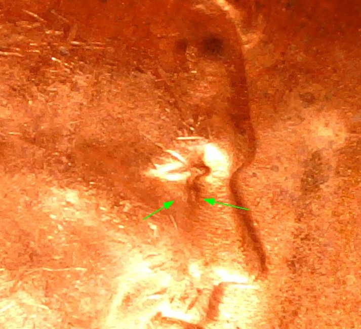 1955-D-FS-101-Uncirculated