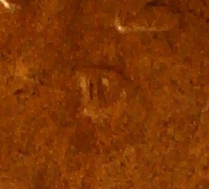 1927-D-Lincoln-RPM-Unlisted-?