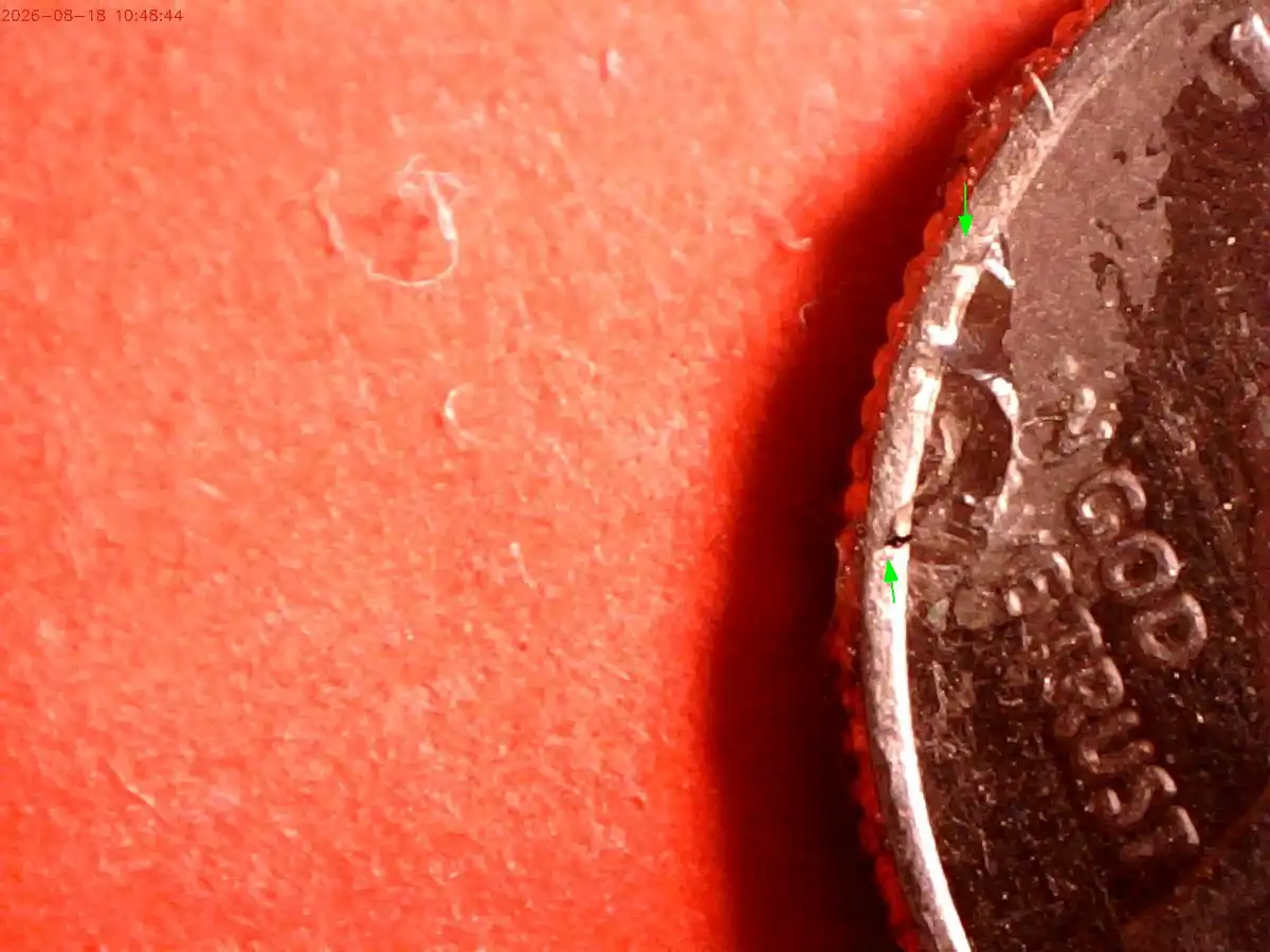 2019-D-Dime-With-Two-Cuds-On-The-Obverse-?