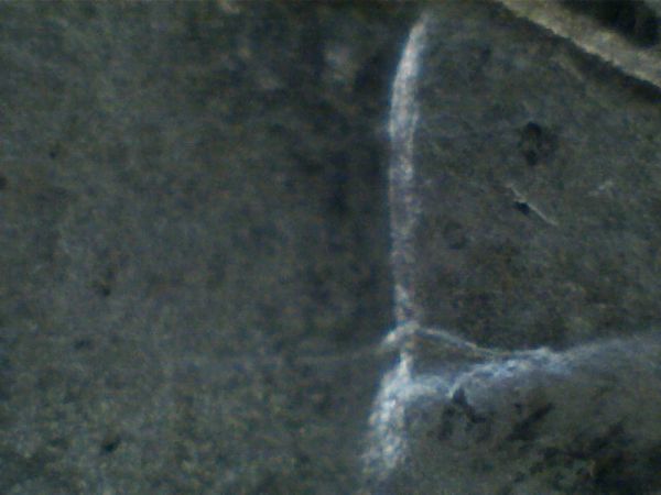 1878-7TF-Attribution-Help-Pls-Or-Nothing-Special
