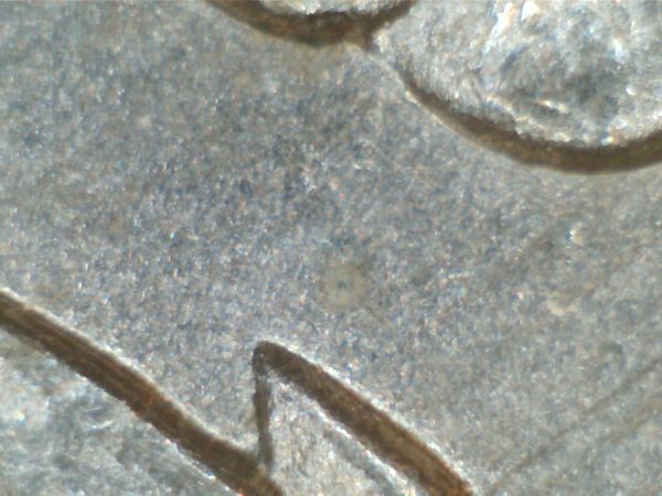 1889-O-VAM-Identification-Help-Pls