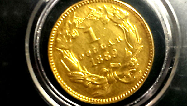 Pls-Help.-1889-Princess-Gold-Dollar-DDO/Ddr-Or-Reg