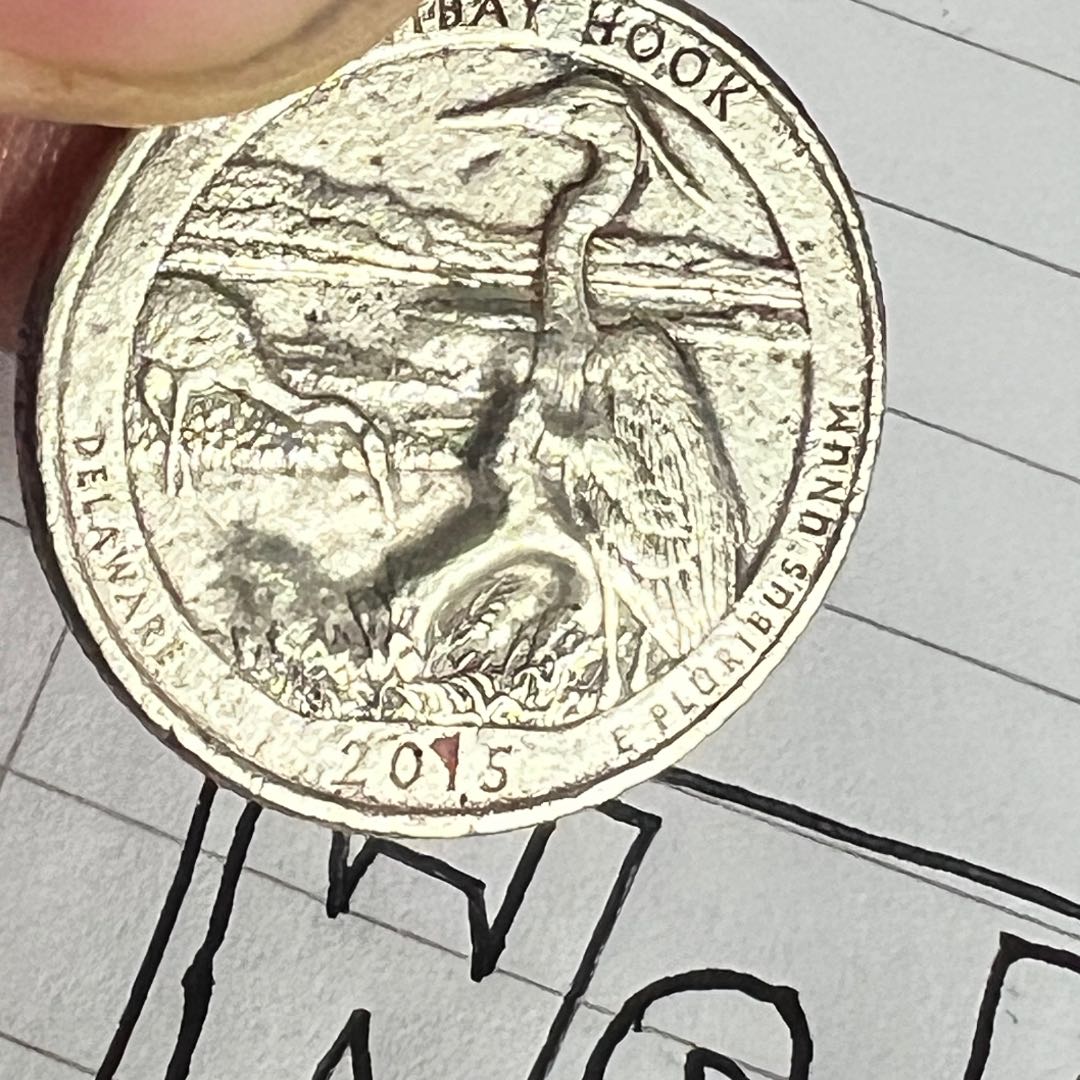 2015-P-State-Quarter,-Possible-Error