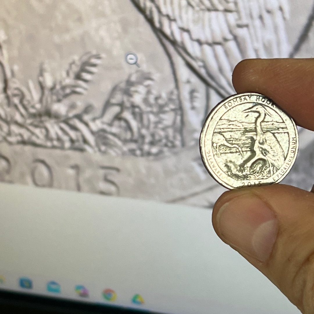 2015-P-State-Quarter,-Possible-Error