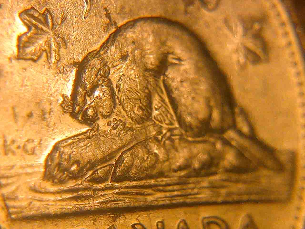 2001-5-Cents