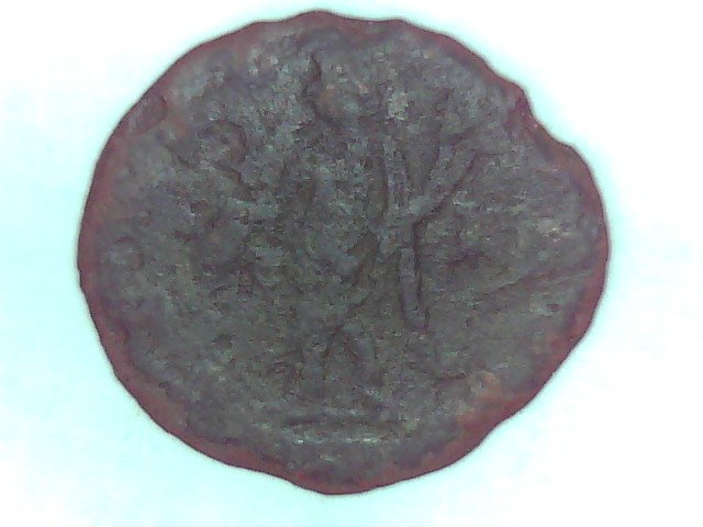 Some-Coins-For-ID