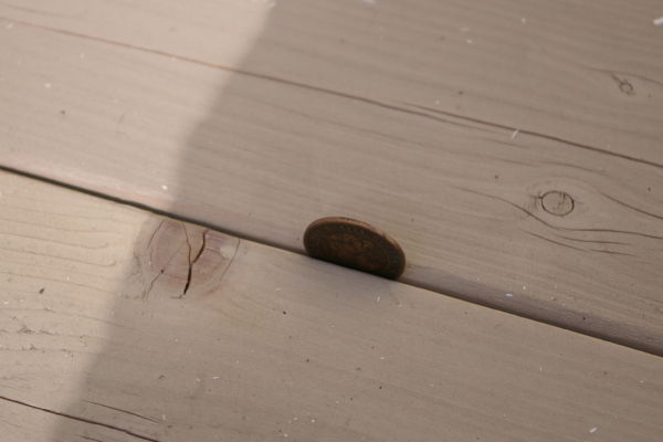 Ooops...-The-Coin-Dropped-On-The-Deck..