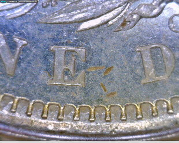 1923-Peace---Feather-Earring-Variety?