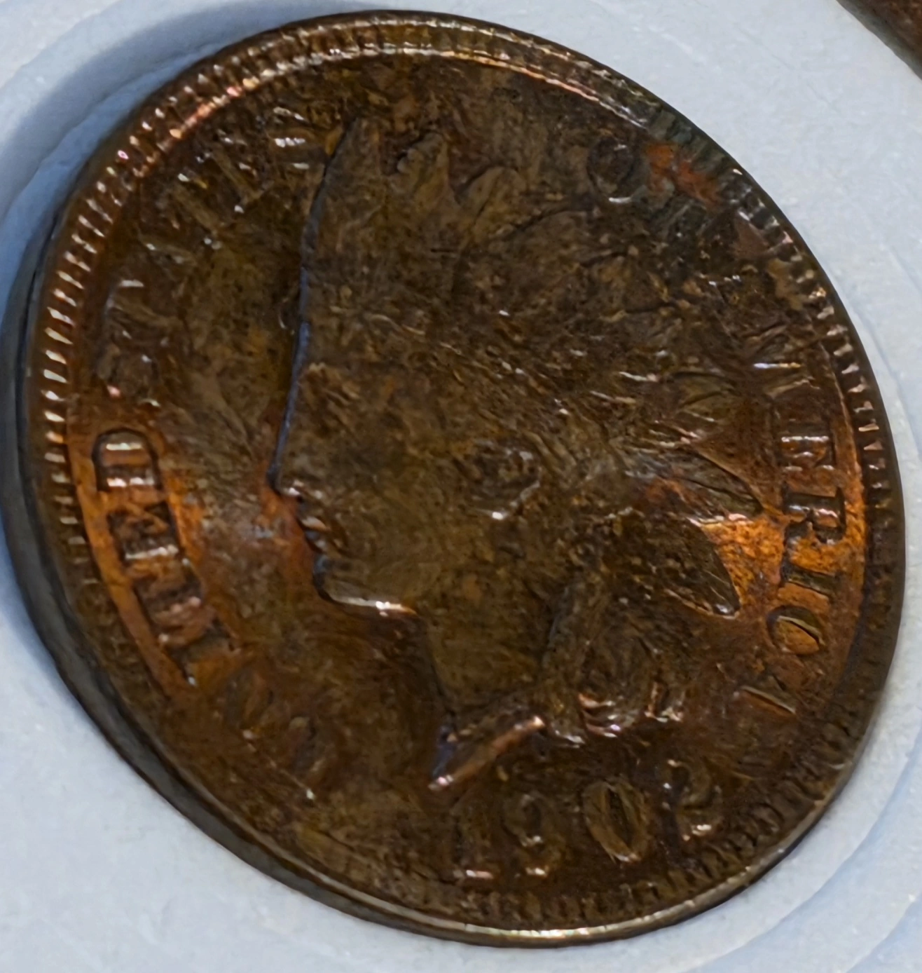 1902-Indian-Head-Cent-For-Grading