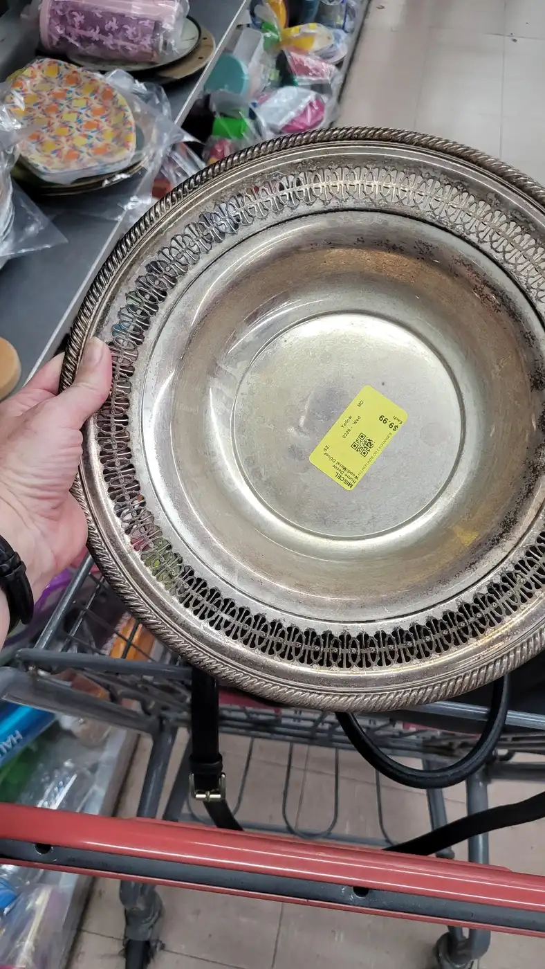 Another-Thrift-Store-Score!-835-Silver!