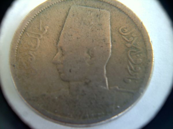 Please-Help-Me-Identify