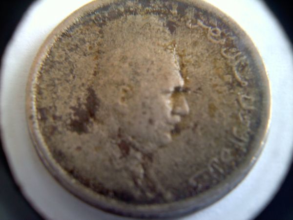 Please-Help-Me-Identify