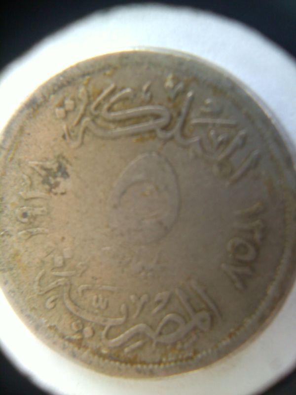 Please-Help-Me-Identify