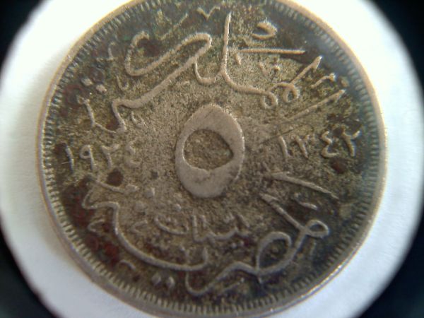 Please-Help-Me-Identify