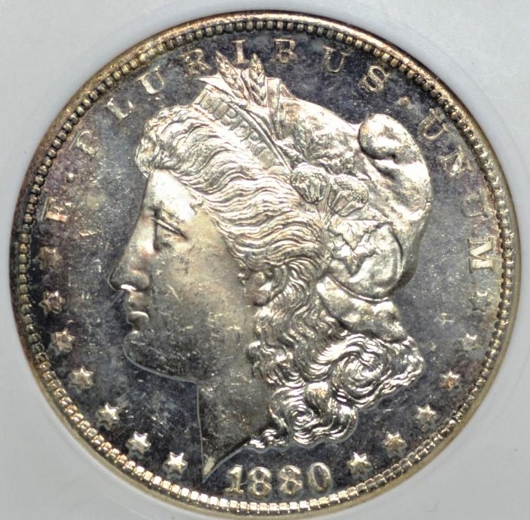 1880/79-S-Morgan-DMPL-VAM8---MS-Slabbed-But-Need-Some-Input-If-Possible?
