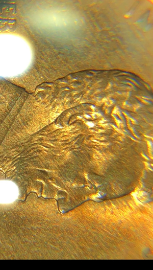 I-Have-This-1996-D-Penny-Looks-Like-A-Doubled-Ear-Will-Like-To-Know-From-The-Experts