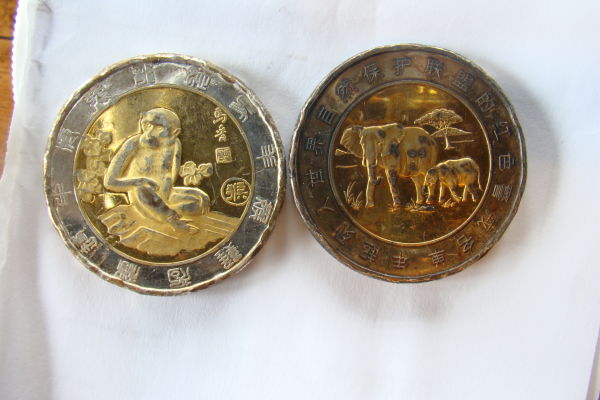 Unknown-Chinese-Look-A-Like-Coins?