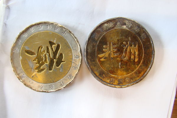 Unknown-Chinese-Look-A-Like-Coins?