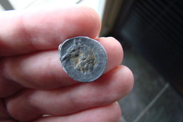 Romann-Token-In-Lead-With-Horse-?-Medaillon?