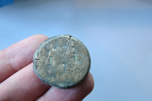 Double-Head-Janus