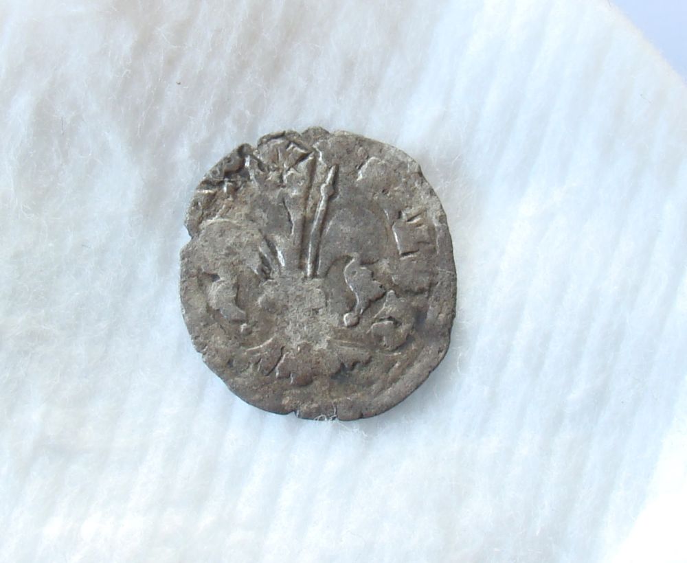 Silver-Coin-Florence?