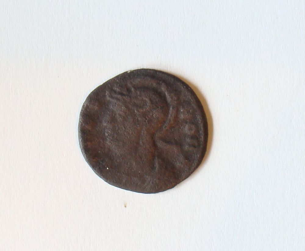 ROMA COIN STUDS main image 1