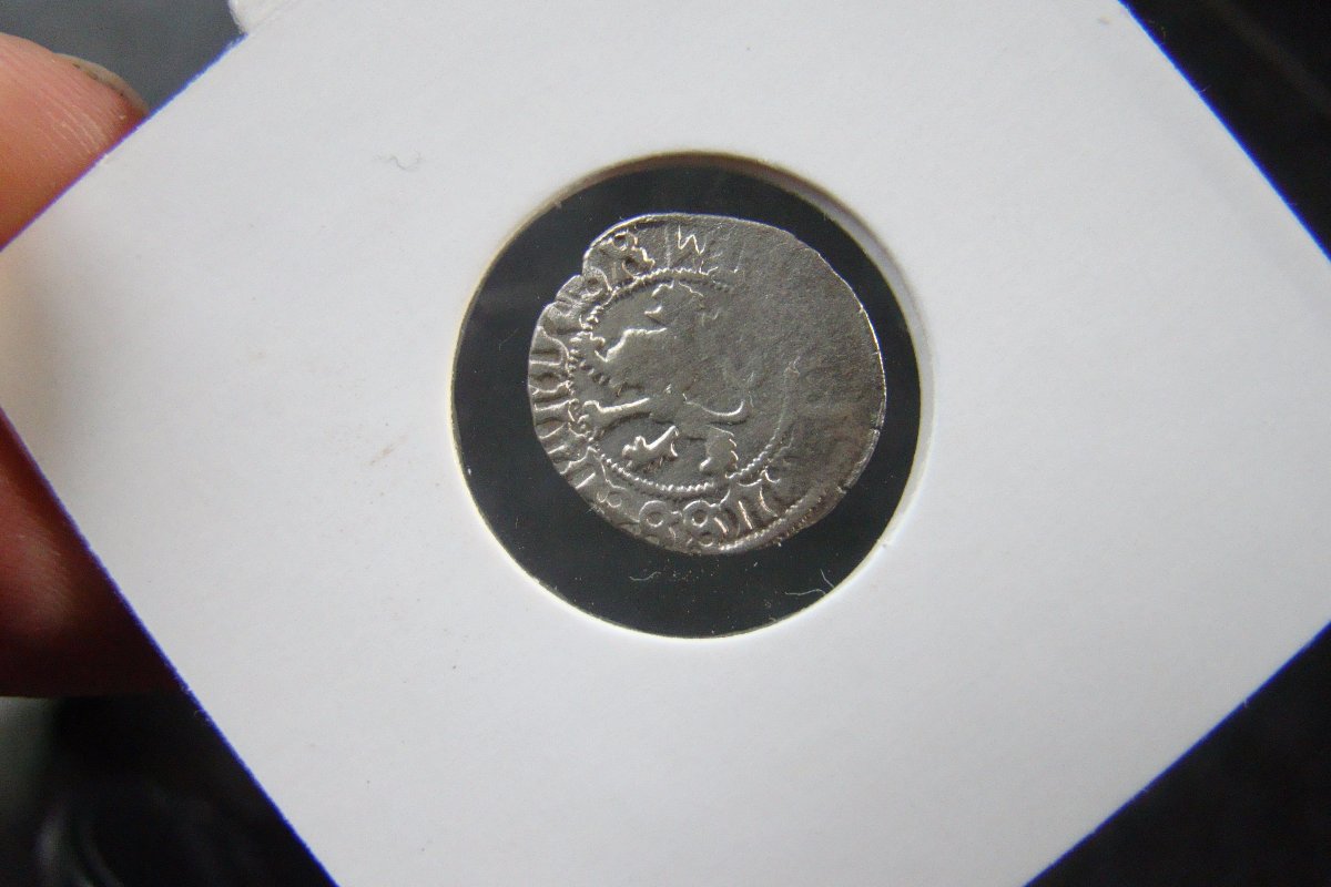 Incusum-Coin-Lion-But-Which