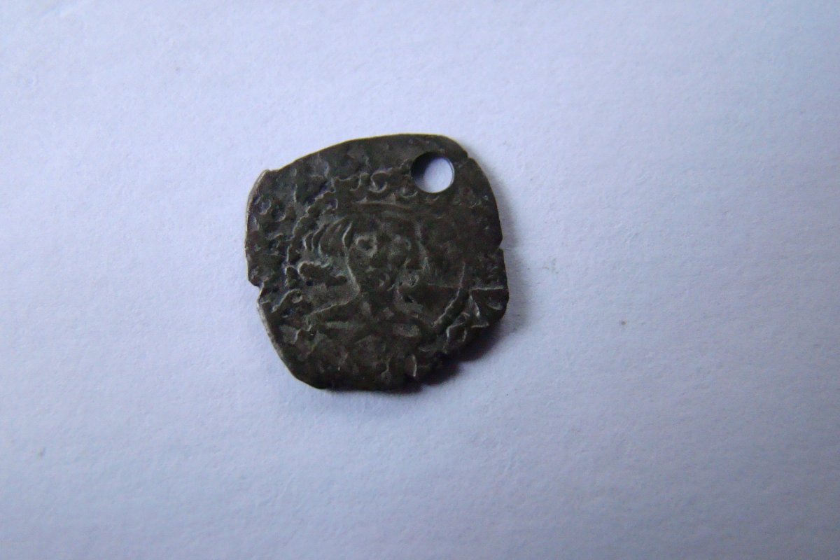 Penny-Type-With-Fish?